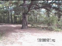ST001.jpg