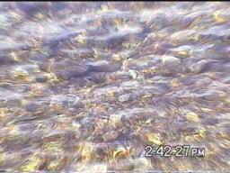water.jpg