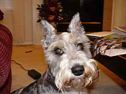 DSC00002.JPG
