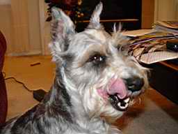 DSC00003.JPG