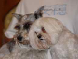 DSC00012.JPG